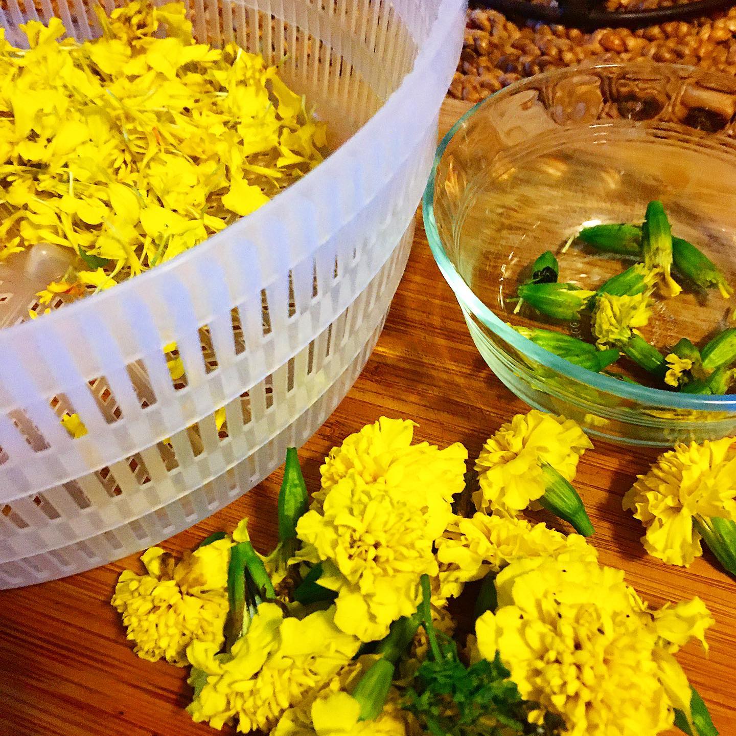 How To Dry Marigold Flowers For Tea Home Alqu